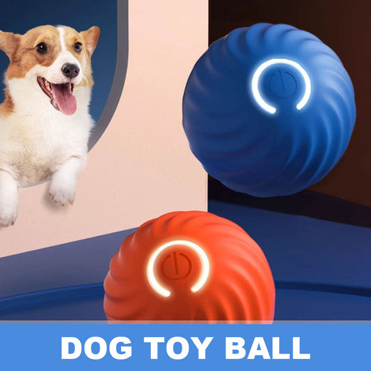 Dog Toy Ball